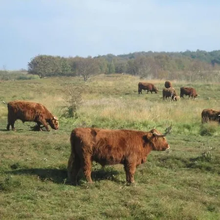 1 Kretschmann Comfortable Дом отдыха