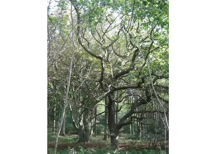 1 Kretschmann Comfortable Gelting